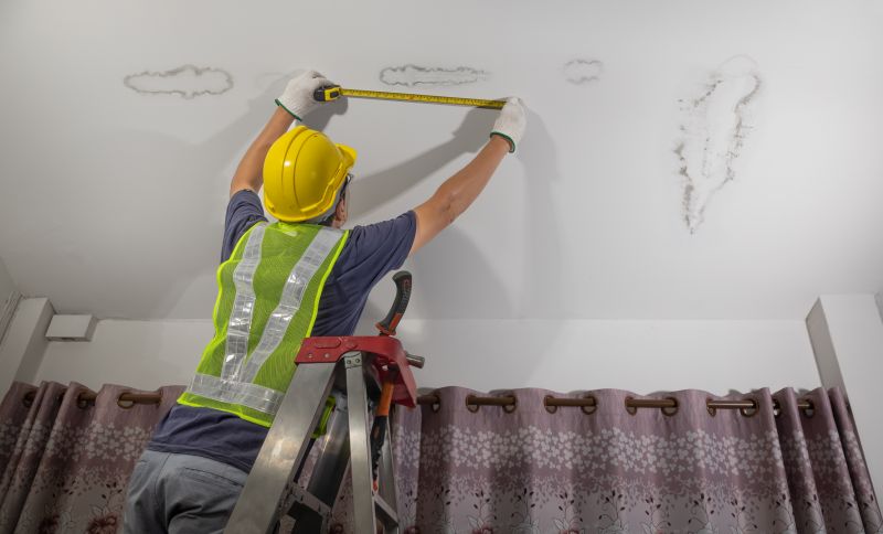 Attic Painting in Kansas City, KS