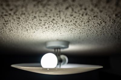 Ceiling Smoothing Service in Waco, TX