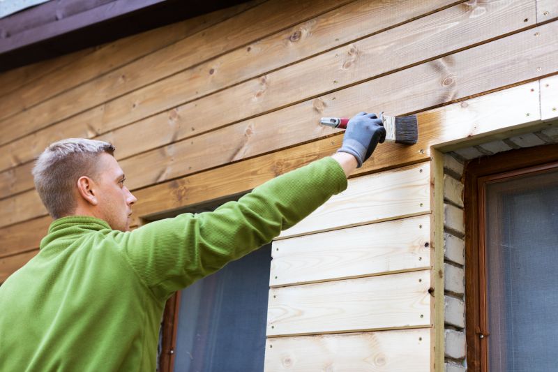 Cladding Painting in Fort Collins, CO