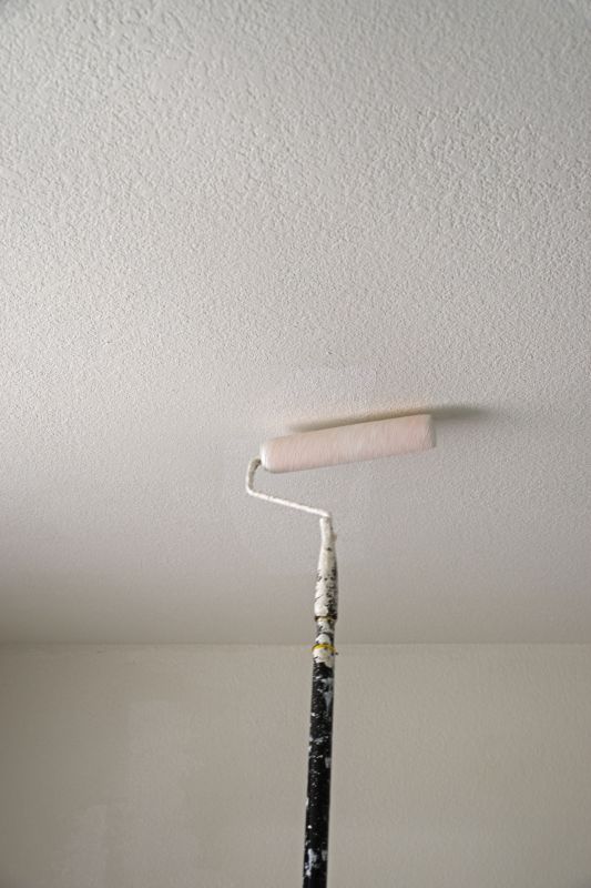 Popcorn Ceiling Painting in Wilmington, NC